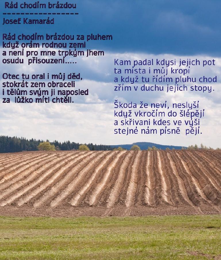 stáhnout (16)