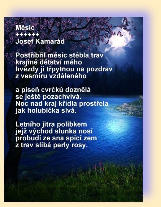 stáhnout (50)